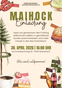 Maihock in Ebersbach 2026