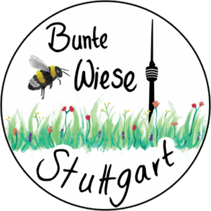 Die Schüsselblumen